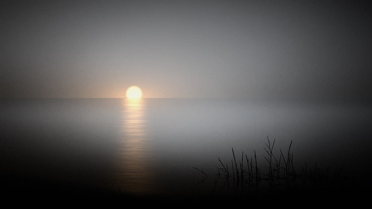 Meaning Crisis: 11: Higher States of Consciousness, Part 1